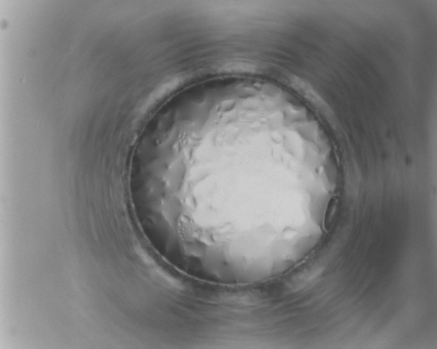 X0000060780625200511241820