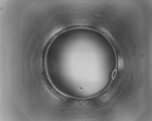 X0000060780627200511241820