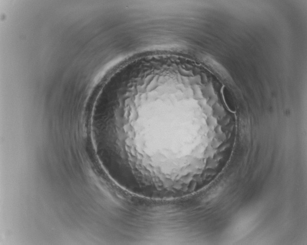 X0000060780628200511241820