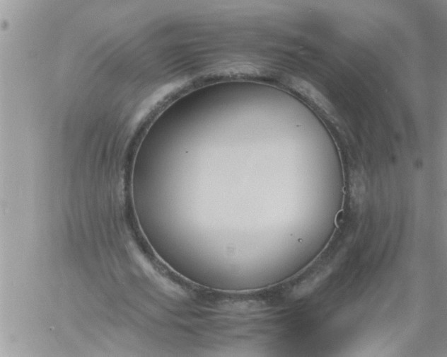 X0000060780629200511241820