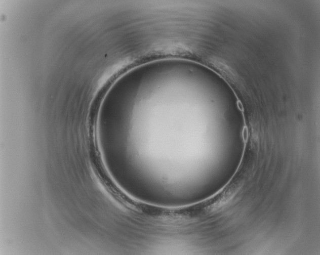 X0000060780630200511241820