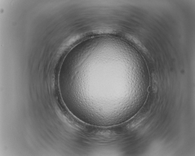 X0000060780631200511241820