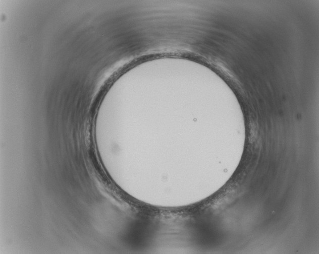 X0000060780632200511241820