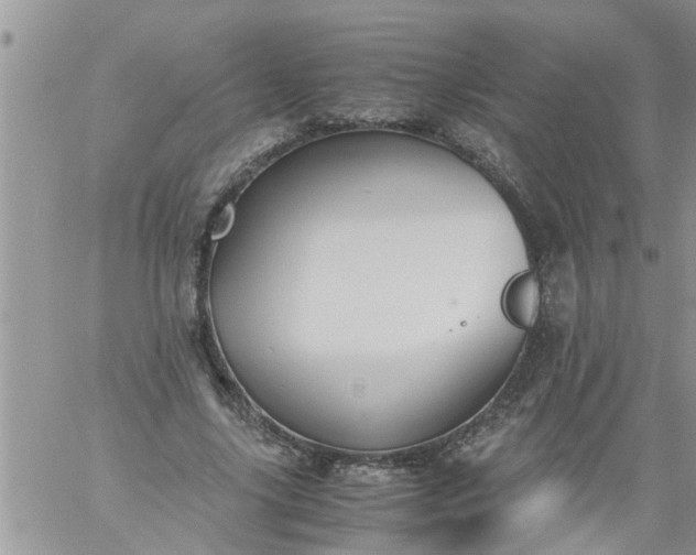 X0000060780635200511241820