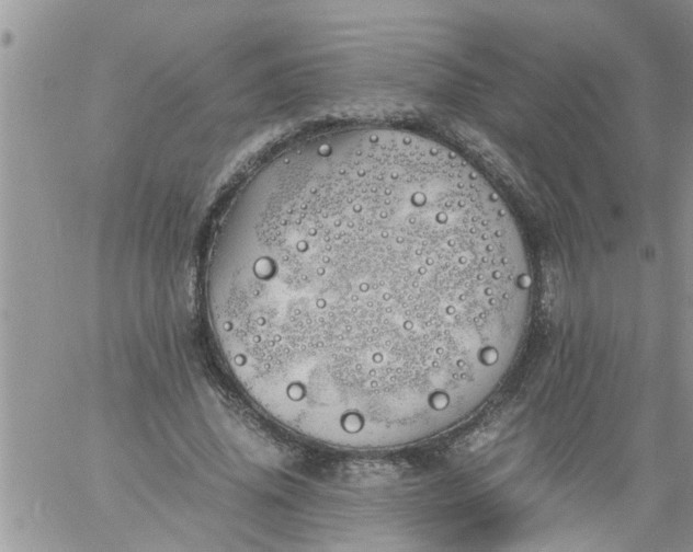 X0000060780636200511241820