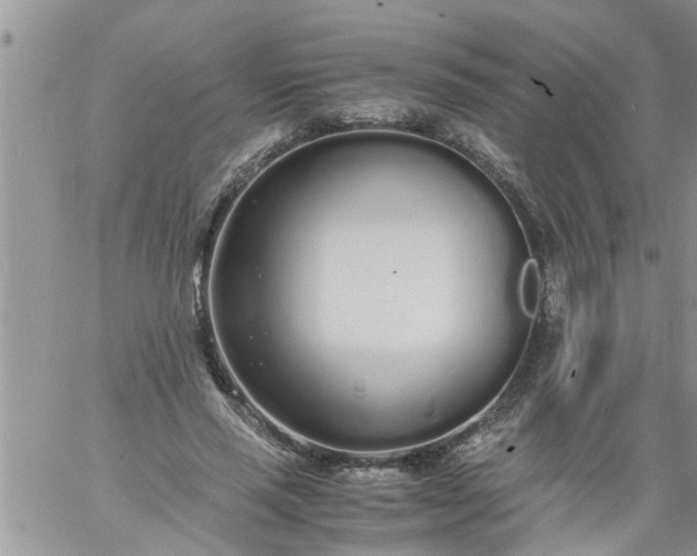 X0000060780637200511241820