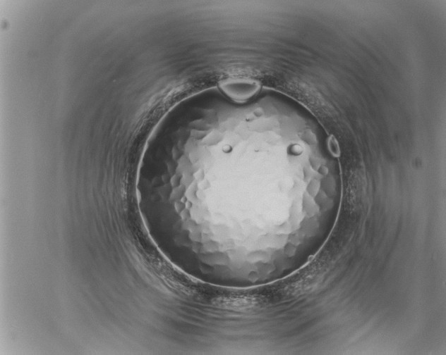 X0000060780639200511241820