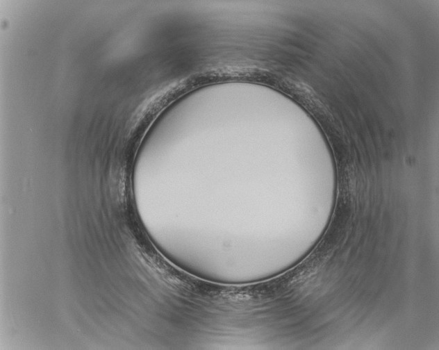 X0000060780640200511241820