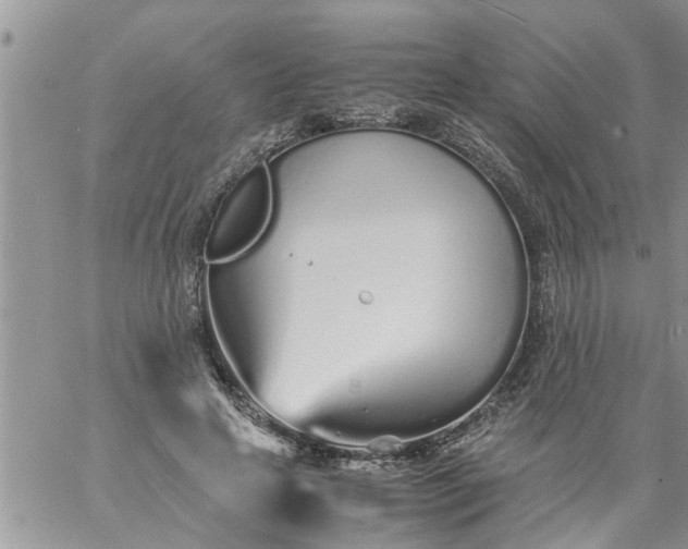 X0000060780641200511241820