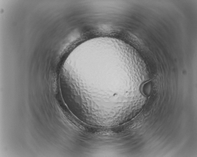 X0000060780642200511241820