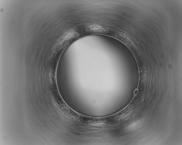 X0000060780643200511241820