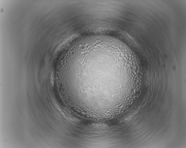 X0000060780644200511241820