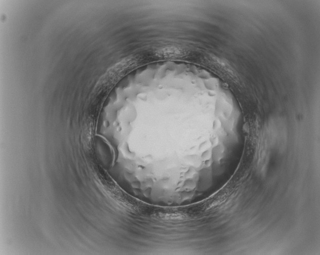 X0000060780645200511241820