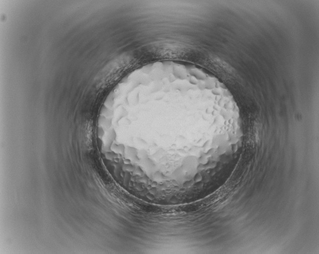 X0000060780646200511241820