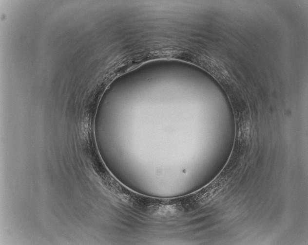 X0000060780647200511241820