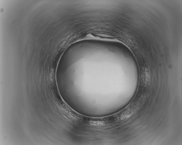 X0000060780649200511241820