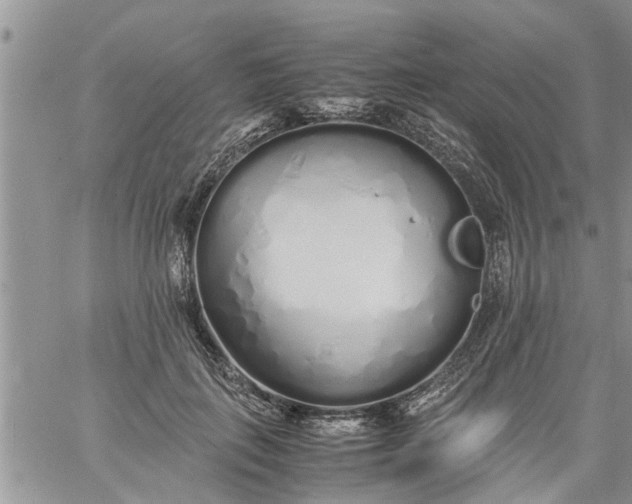 X0000060780651200511241820