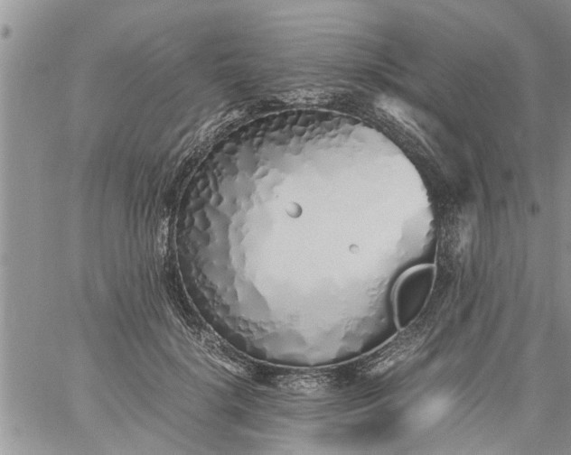 X0000060780652200511241820