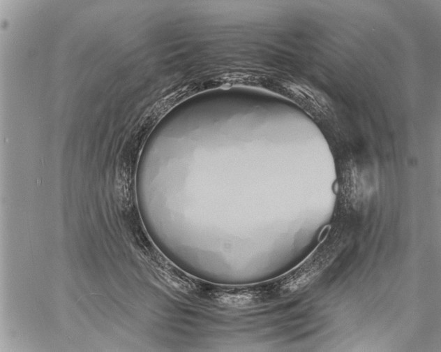 X0000060780653200511241821