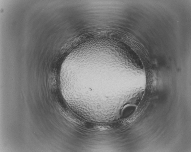 X0000060780654200511241821