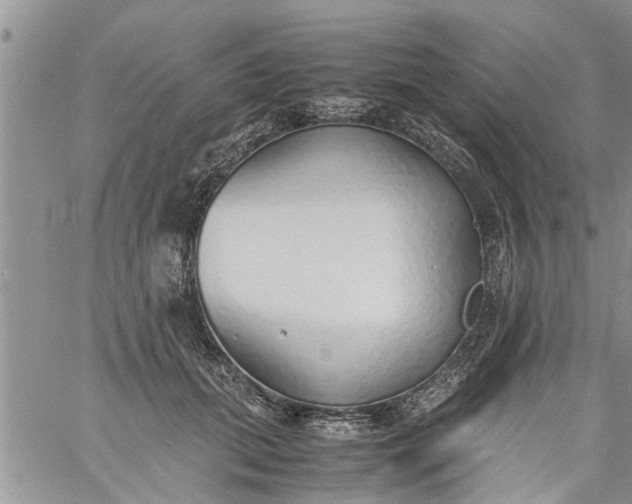 X0000060780655200511241821