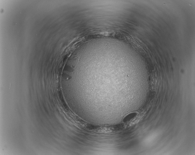 X0000060780656200511241821