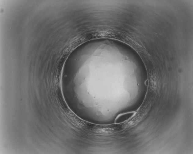 X0000060780657200511241821