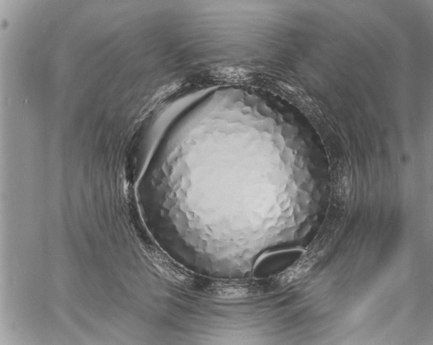 X0000060780658200511241821