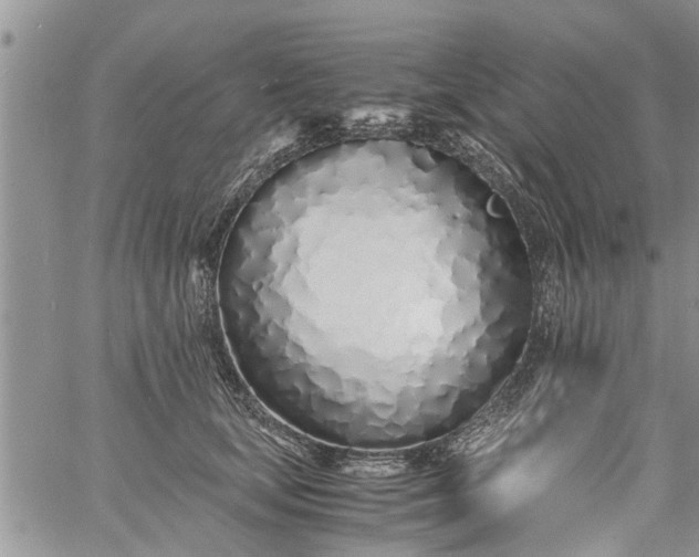 X0000060780659200511241821