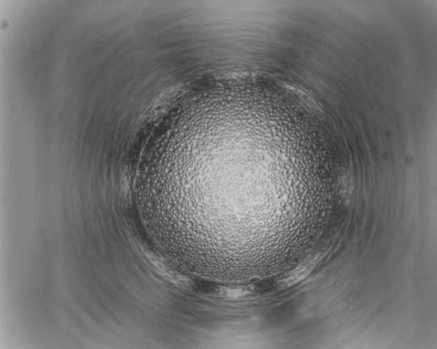 X0000060780662200511241821