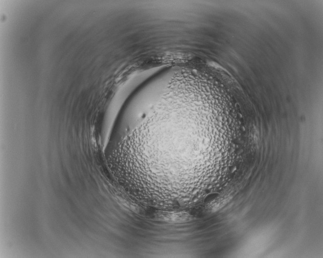 X0000060780663200511241821