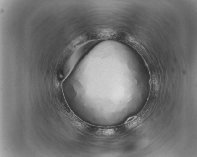 X0000060780665200511241821