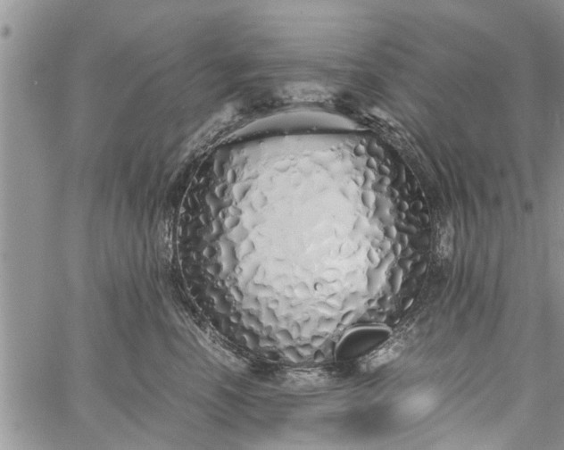 X0000060780666200511241821