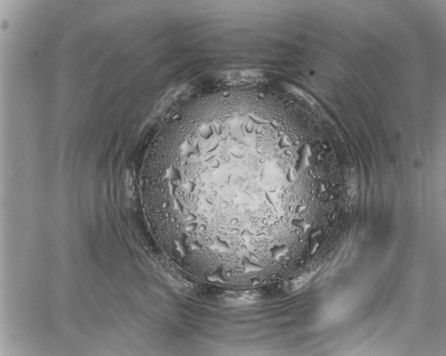 X0000060780667200511241821