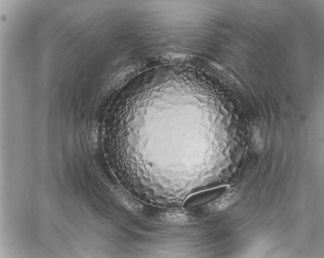 X0000060780668200511241821