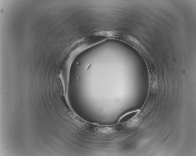 X0000060780669200511241821