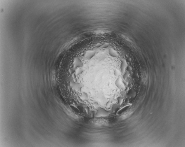 X0000060780670200511241821