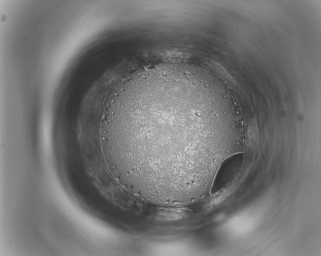 X0000060780671200511241821