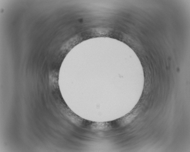 X0000060780672200511241821