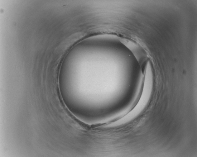 X0000060780673200511241820