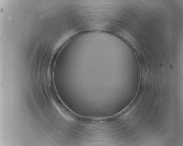 X0000060780674200511241820