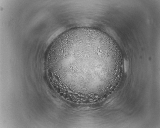 X0000060780675200511241820