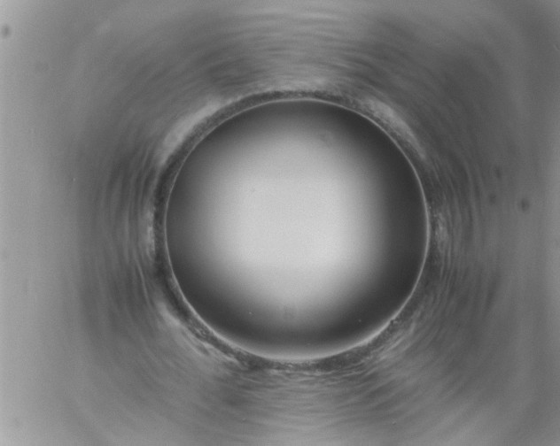 X0000060780676200511241820