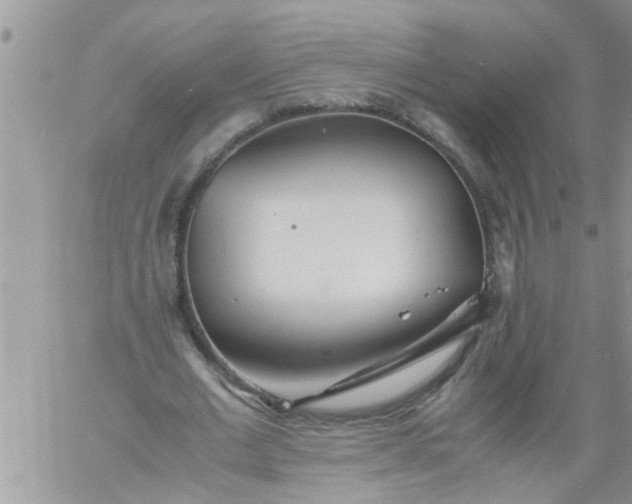 X0000060780677200511241820