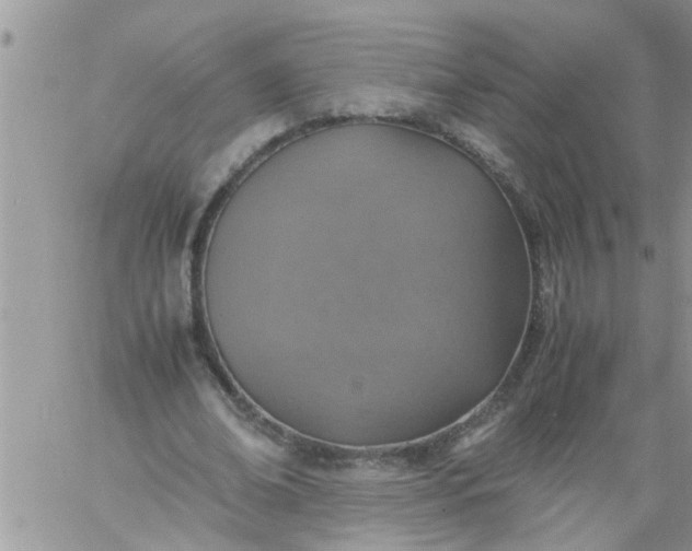 X0000060780678200511241820