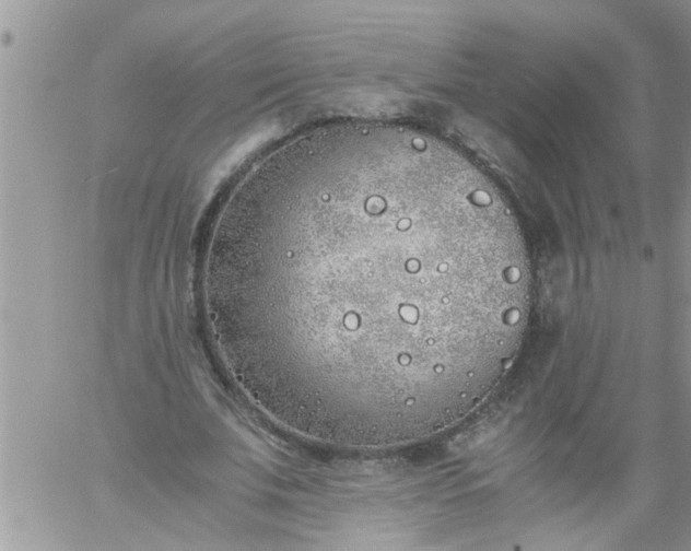 X0000060780679200511241820