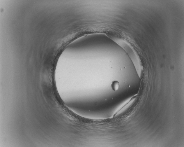 X0000060780681200511241820