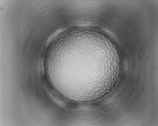 X0000060780682200511241820