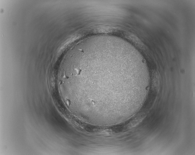 X0000060780683200511241820