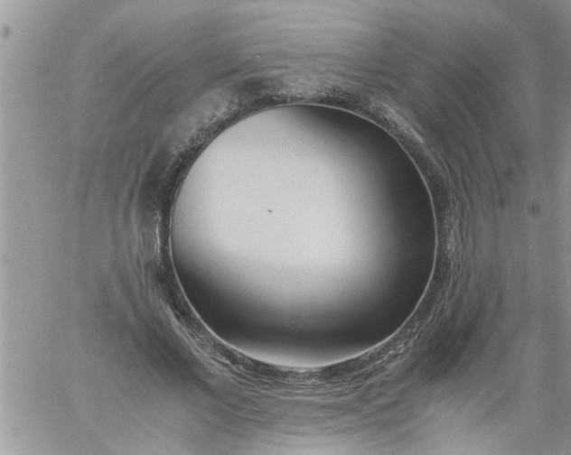 X0000060780685200511241820